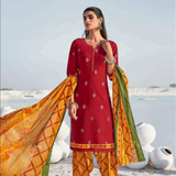 Patiala Style Cotton Dress
