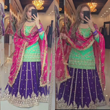 New  Designer Lehenga -Top Set ND-(5045)