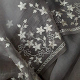 Organza Special Saree