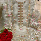 Organza Designer dress