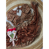 Heavy designer Saree with Sequins Blouse