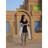 LC1401 NEWLY LAUNCHED VELVET KURTI-PANT SET