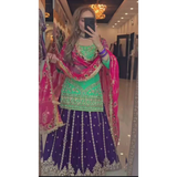 New  Designer Lehenga -Top Set ND-(5045)