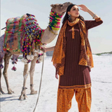 Patiala Style Cotton Dress