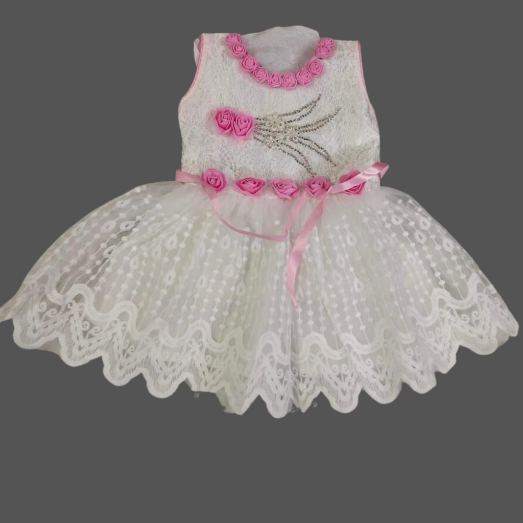 Girls Party Dress