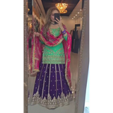 New  Designer Lehenga -Top Set ND-(5045)