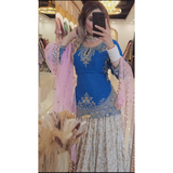 New  Designer Lehenga -Top NF-(1242)