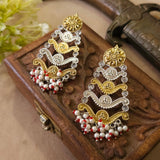 Gorgeous Dual Tone Earrings
