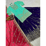 New  Designer Lehenga -Top Set ND-(5045)