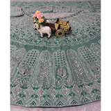 BD Launching Premium Quality Soft Net Lehenga, Exceptional Quality with Can-Can