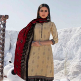 Patiala Style Cotton Dress