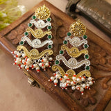 Gorgeous Dual Tone Earrings