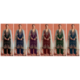 D-NO 1320 FANCY VELVET SUITS PLUS SIZE 50-52