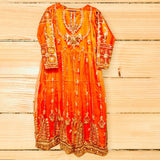 Pakistani Anarkali Set