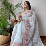 Bluish shade Organza Saree